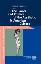 Klau Benesch, Klaus Benesch, Haselstein, Haselstein, Ulla Haselstein - The Power and Politics of the Aesthetic in American Culture