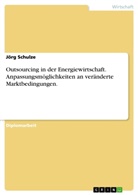 Jörg Schulze - Outsourcing in der Energiewirtschaft. Anpassungsmöglichkeiten an veränderte Marktbedingungen.