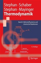 Franz Mayinger, Karlhein Schaber, Karlheinz Schaber, Karl Stephan, Karl u Stephan, Pete Stephan - Thermodynamik - 2: Mehrstoffsysteme und chemische Reaktionen