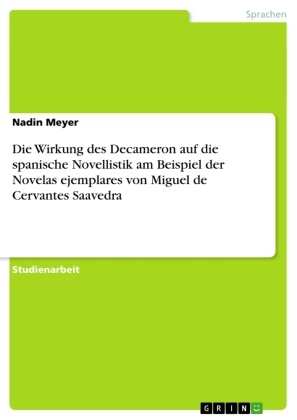 Nadin Meyer - Die Wirkung des Decameron auf die spanische Novellistik am Beispiel der Novelas ejemplares von Miguel de Cervantes Saavedra