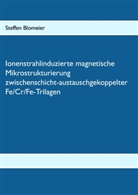 Steffen Blomeier - Ionenstrahlinduzierte magnetische Mikrostrukturierung zwischenschicht-austauschgekoppelter Fe/Cr/Fe-Trilagen