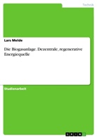 Lars Melde - Die Biogasanlage. Dezentrale, regenerative Energiequelle