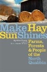 Allen Young - Make Hay While the Sun Shines