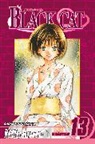 Kentaro Yabuki, Kentaro Yabuki - Black Cat v.13