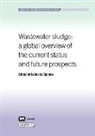Ludovico Spinosa - Wastewater Sludge