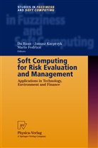 Fedrizzi, Fedrizzi, Mario Fedrizzi, Janusz Kacprzyk, D Ruan, Da Ruan - Soft Computing for Risk Evaluation and Management
