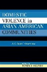 Tuyen D. Nguyen, Tuyen D Nguyen, Tuyen D. Nguyen - Domestic Violence in Asian-American Communities