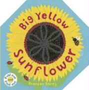 Frances Barry, Frances Barry - Big Yellow Sunflower