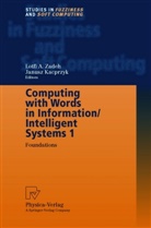 Lotf A Zadeh, Lotfi A Zadeh, Janusz Kacprzyk, Lofti A. Zadeh, Lotfi A. Zadeh - Computing with Words in Information/Intelligent Systems - 1: Computing with Words in Information/Intelligent Systems 1