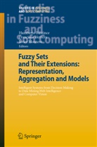 Humberto Bustince, Javier Gomez-Montero, Francisc Herrera, Francisco Herrera, Francisco Herrera Luque, Javier Montero - Fuzzy Sets and Their Extensions: Representation, Aggregation and Models