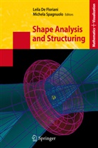 Leil De Floriani, Leila De Floriani, Leila de Floriani, Spagnuolo, Spagnuolo, Michela Spagnuolo - Shape Analysis and Structuring