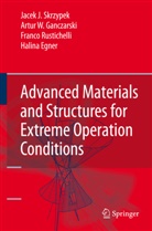 Halina Egner, Artur Ganczarski, Artur W Ganczarski, Artur W. Ganczarski, Egner Halina, Rustichelli... - Advanced Materials and Structures for Extreme Operating Conditions