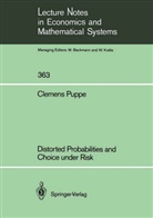 Clemens Puppe - Distorted Probabilities and Choice under Risk