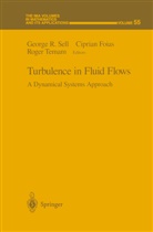 Cipria Foias, Ciprian Foias, George R. Sell, Roger Temam - Turbulence in Fluid Flows