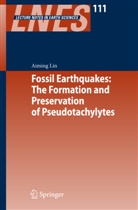 Aiming Lin - Fossil Earthquakes: The Formation and Preservation of Pseudotachylytes