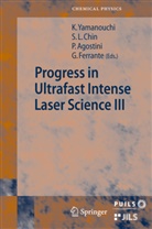 Pierr Agostini, Pierre Agostini, See Leang Chin, Gaetano Ferrante, Kaoru Yamanouchi - Progress in Ultrafast Intense Laser Science III