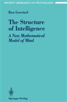Ben Goertzel - The Structure of Intelligence