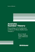 Bruce C. Berndt, Harold Diamond, Harold G. Diamond, Harol G Diamond, Harold G Diamond, Adolf J Hildebrand... - Analytic Number Theory