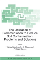 Joh A Glaser, John A Glaser, P Baveye, P. Baveye, John A. Glaser, V¿av Sasek... - The Utilization of Bioremediation to Reduce Soil Contamination: Problems and Solutions