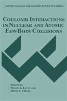 A Micha, A Micha, Frank S. Levin, David A. Micha, Fran S Levin, Frank S Levin - Coulomb Interactions in Nuclear and Atomic Few-Body Collisions