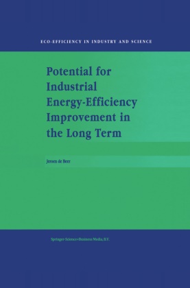 J. Beer, J. de Beer, J de Beer, J. de Beer - Potential for Industrial Energy-Efficiency Improvement in the Long Term