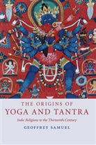 Geoffrey Samuel, Geoffrey (Cardiff University) Samuel - Origins of Yoga and Tantra
