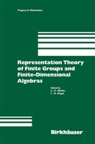 Michle, Michler, Michler, Gerhard O. Michler, Ringel, Ringel... - Representation Theory of Finite Groups and Finite-Dimensional Algebras