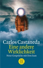 Carlos Castaneda - Eine andere Wirklichkeit