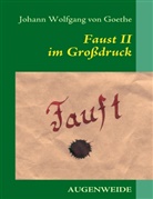 Johann Wolfgang von Goethe, Maik Franzen, Maike Franzen - Faust II im Grossdruck