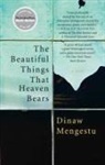 Dinaw Mengestu - The Beautiful Things that Heaven Bears