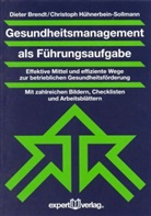 Diete Brendt, Dieter Brendt, Christoph Hühnerbein-Sollmann - Gesundheitsmanagement als Führungsaufgabe