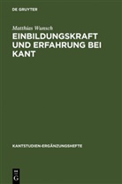 Matthias Wunsch - Einbildungskraft und Erfahrung bei Kant