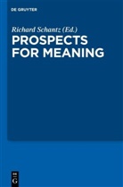 Almo, Almog, Alsto, Alston, Wettstein et al, Richar Schantz... - Current Issues in Theoretical Philosophy - Volume 3: Prospects for Meaning