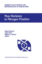 William E Newton, Jaim Mora, Jaime Mora, William E. Newton, Rafael Palacios - New Horizons in Nitrogen Fixation