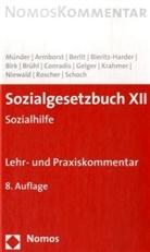 Christian Armborst, Ulrich-Arthur Birk, Johannes Münder - Sozialgesetzbuch XII, Lehr- und Praxiskommentar