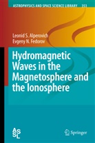 Leonid Alperovich, Leonid S Alperovich, Leonid S. Alperovich, Evgeny N Fedorov, Evgeny N. Fedorov - Hydromagnetic Waves in the Magnetosphere and the Ionosphere