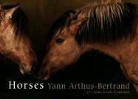 Yann Arthus-Bertrand, Yann/ Gouraud Arthus-Bertrand, Jean-Louis Gouraud, Yann Arthus-Bertrand - Horses