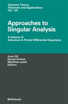 Juan B. Gil, Danie Grieser, Daniel Grieser, Matthias Lesch - Approaches to Singular Analysis