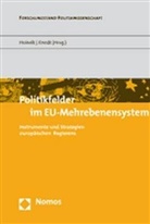 Hubert Heinelt, Michèle Knodt - Politikfelder im EU-Mehrebenensystem