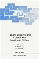 Kajzar, F Kajzar, F. Kajzar, François Kajzar, Reinisch, Reinisch... - Beam Shaping and Control with Nonlinear Optics