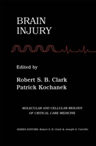 Robert S. B. Clark, Robert S.B. Clark, Kochanek, Kochanek, Patrick Kochanek, Rober S B Clark... - Brain Injury