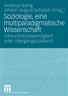 August Schülein, August Schülein, Andrea Balog, Andreas Balog, Johann A. Schülein, Johann August Schülein - Soziologie, eine multiparadigmatische Wissenschaft