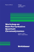 K. A. Milton, K.A. Milton, Kimbal Milton, Kimball Milton, M A Samuel, M. A. Samuel... - Workshop on Non-Perturbative Quantum Chromodynamics