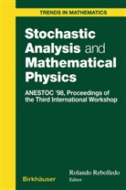 Roland Rebolledo, Rolando Rebolledo - Stochastic Analysis and Mathematical Physics
