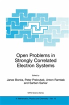 Janez Bonca, Pete Prelovsek, Peter Prelovsek, Anton Ramsak, Anton Ramsak et al, Sarben Sarkar - Open Problems in Strongly Correlated Electron Systems