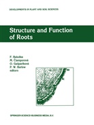 F. Baluska, Frantisek Baluska, Peter P.W. Barlow, Peter W. Barlow, Ciamporov¿Milada, Milad Ciamporová... - Structure and Function of Roots