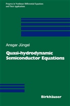 Ansgar J¿ngel, Ansgar Jüngel - Quasi-hydrodynamic Semiconductor Equations