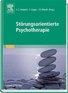 Johannes Kressirer, Karin Beifuss, Caspa, Fran Caspar, Franz Caspar, Herpert... - Störungsorientierte Psychotherapie