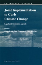 Onno J. Kuik, Pau Peters, Paul Peters, Nico Schrijver - Joint Implementation to Curb Climate Change