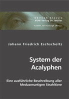 Johann Friedrich Eschscholtz, Esther Von Krosigk, Esthe von Krosigk, Esther von Krosigk - System der Acalyphen